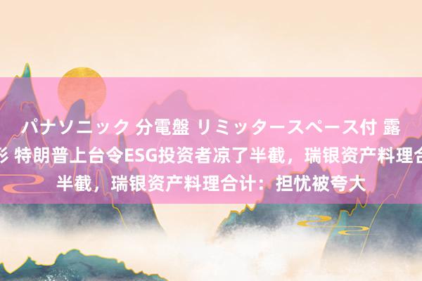 パナソニック 分電盤 リミッタースペース付 露出・半埋込両用形 特朗普上台令ESG投资者凉了半截，瑞银资产料理合计：担忧被夸大