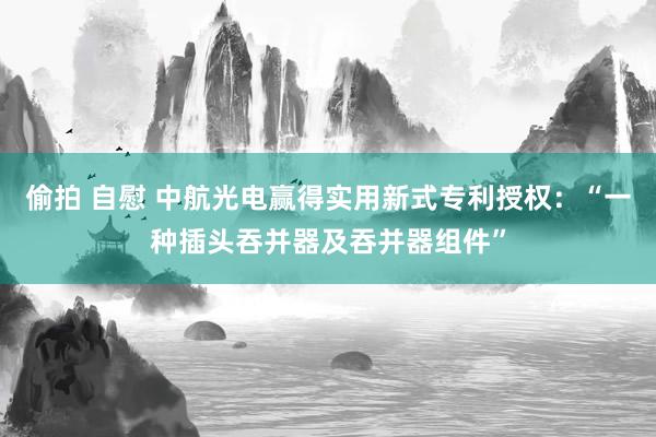 偷拍 自慰 中航光电赢得实用新式专利授权：“一种插头吞并器及吞并器组件”