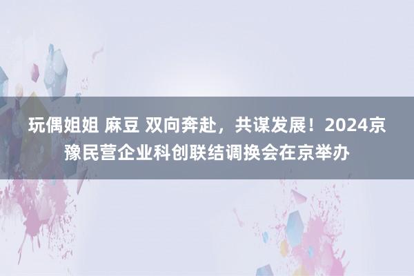 玩偶姐姐 麻豆 双向奔赴，共谋发展！2024京豫民营企业科创联结调换会在京举办