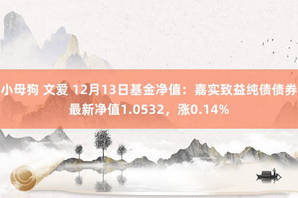 小母狗 文爱 12月13日基金净值：嘉实致益纯债债券最新净值1.0532，涨0.14%