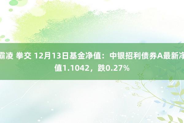 霸凌 拳交 12月13日基金净值：中银招利债券A最新净值1.1042，跌0.27%