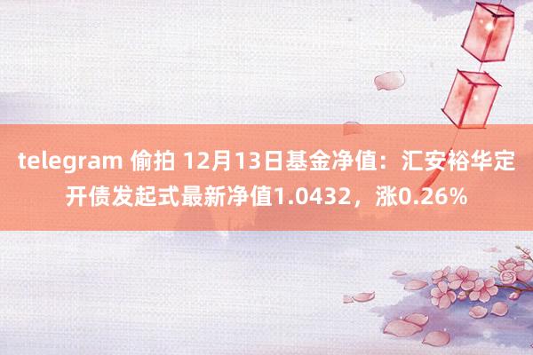 telegram 偷拍 12月13日基金净值：汇安裕华定开债发起式最新净值1.0432，涨0.26%