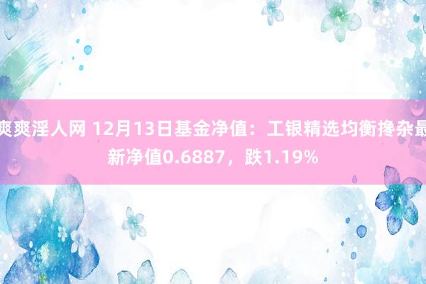 爽爽淫人网 12月13日基金净值：工银精选均衡搀杂最新净值0.6887，跌1.19%