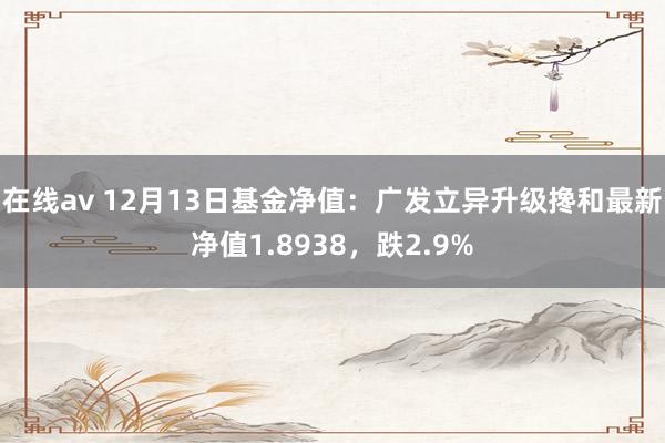 在线av 12月13日基金净值：广发立异升级搀和最新净值1.8938，跌2.9%