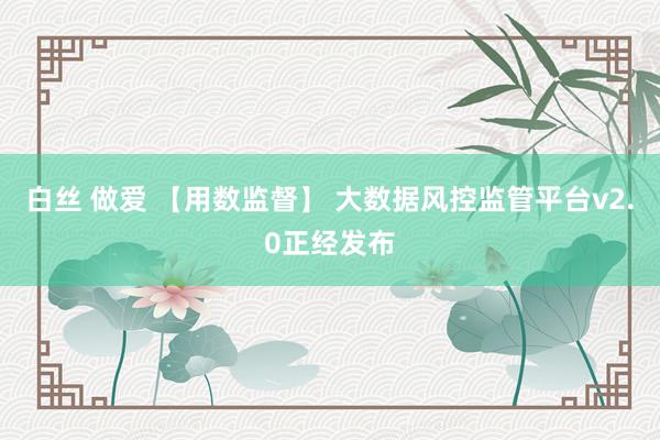 白丝 做爱 【用数监督】 大数据风控监管平台v2.0正经发布