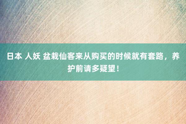 日本 人妖 盆栽仙客来从购买的时候就有套路，养护前请多疑望！