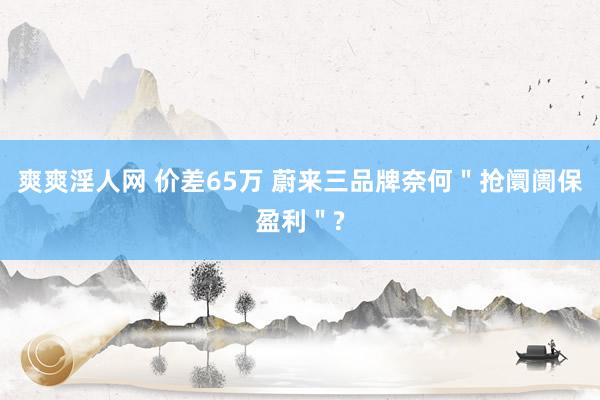 爽爽淫人网 价差65万 蔚来三品牌奈何＂抢阛阓保盈利＂?