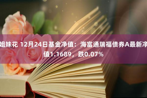 姐妹花 12月24日基金净值：海富通瑞福债券A最新净值1.1689，跌0.07%