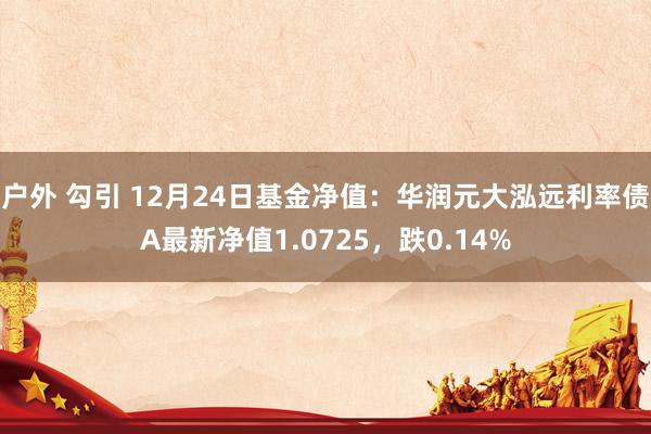 户外 勾引 12月24日基金净值：华润元大泓远利率债A最新净值1.0725，跌0.14%