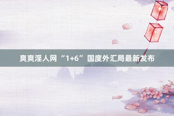 爽爽淫人网 “1+6” 国度外汇局最新发布