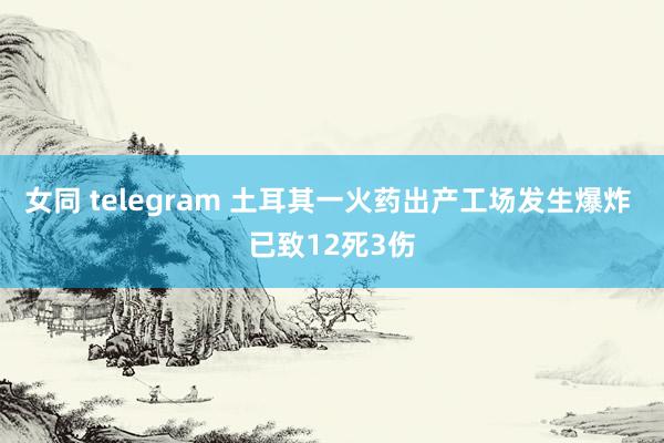 女同 telegram 土耳其一火药出产工场发生爆炸 已致12死3伤