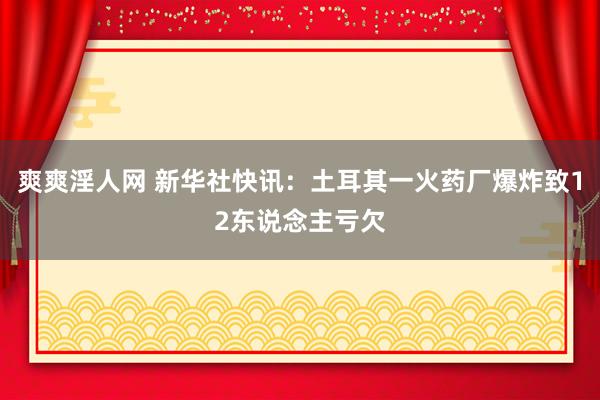 爽爽淫人网 新华社快讯：土耳其一火药厂爆炸致12东说念主亏欠