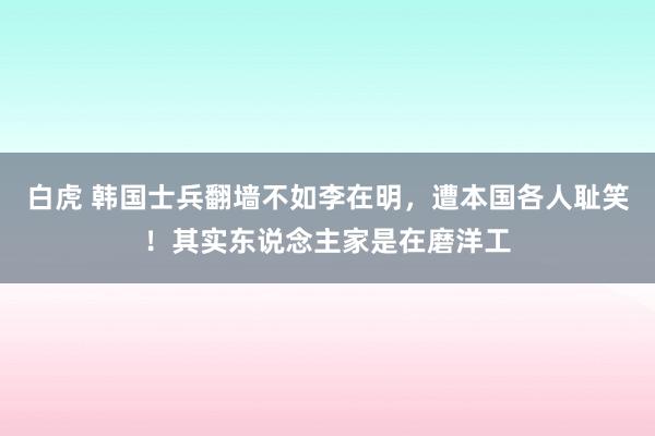 白虎 韩国士兵翻墙不如李在明，遭本国各人耻笑！其实东说念主家是在磨洋工