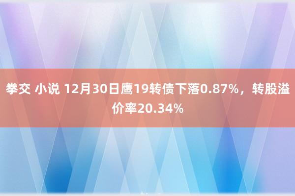 拳交 小说 12月30日鹰19转债下落0.87%，转股溢价率20.34%