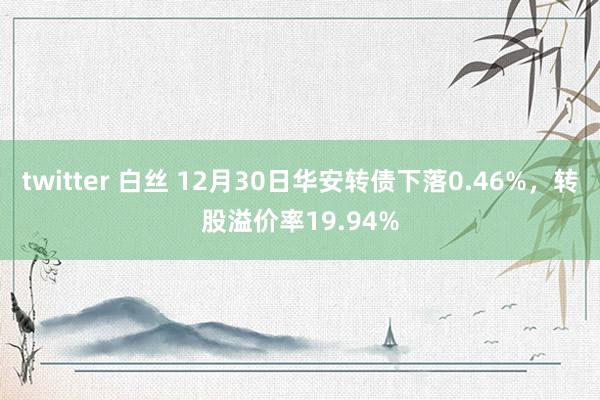 twitter 白丝 12月30日华安转债下落0.46%，转股溢价率19.94%