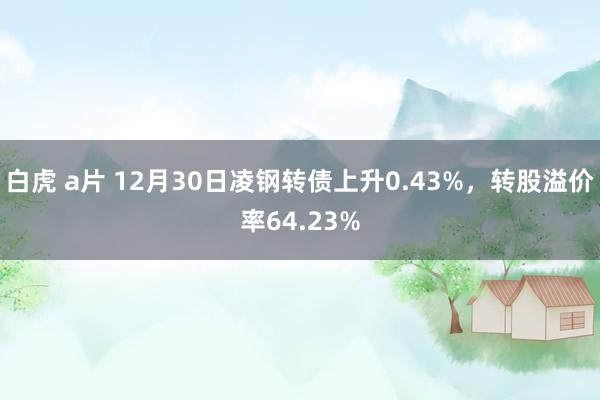 白虎 a片 12月30日凌钢转债上升0.43%，转股溢价率64.23%