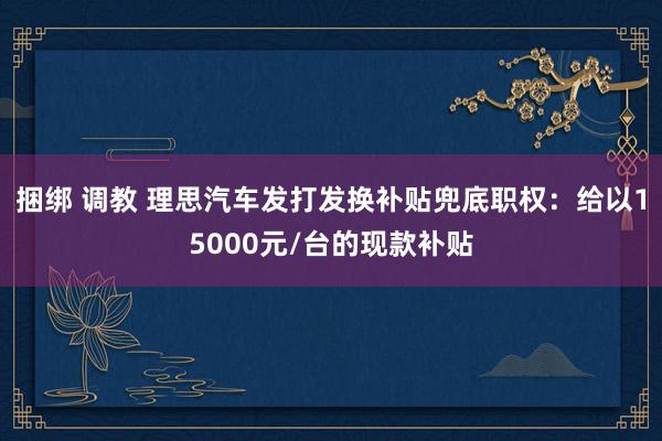 捆绑 调教 理思汽车发打发换补贴兜底职权：给以15000元/台的现款补贴