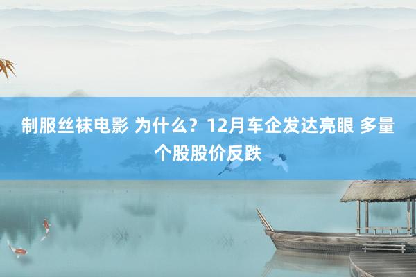 制服丝袜电影 为什么？12月车企发达亮眼 多量个股股价反跌