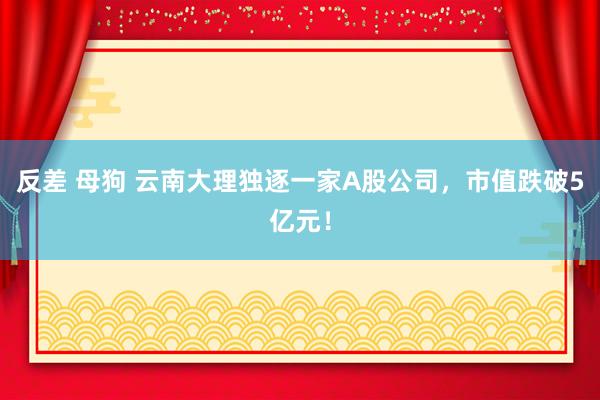 反差 母狗 云南大理独逐一家A股公司，市值跌破5亿元！