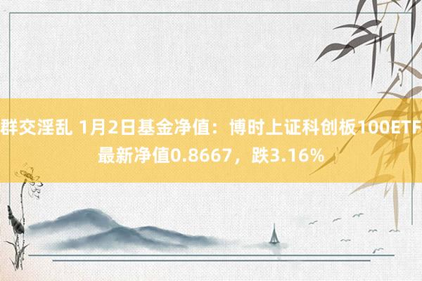 群交淫乱 1月2日基金净值：博时上证科创板100ETF最新净值0.8667，跌3.16%