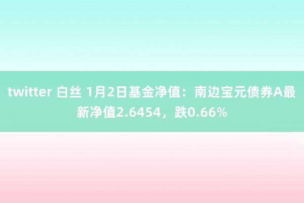 twitter 白丝 1月2日基金净值：南边宝元债券A最新净值2.6454，跌0.66%