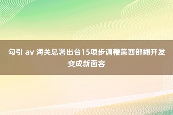 勾引 av 海关总署出台15项步调鞭策西部翻开发变成新面容