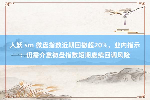 人妖 sm 微盘指数近期回撤超20%，业内指示：仍需介意微盘指数短期赓续回调风险