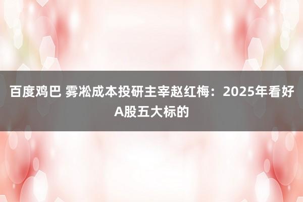 百度鸡巴 雾凇成本投研主宰赵红梅：2025年看好A股五大标的