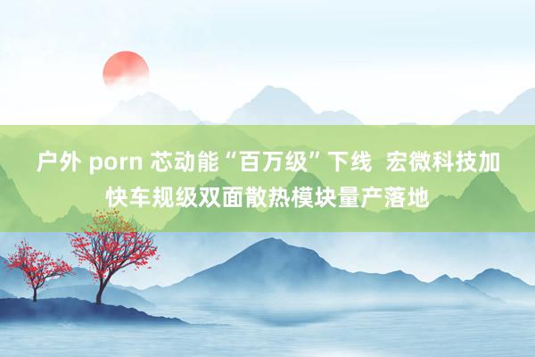 户外 porn 芯动能“百万级”下线  宏微科技加快车规级双面散热模块量产落地