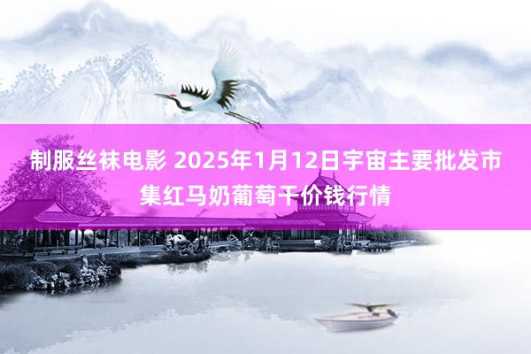 制服丝袜电影 2025年1月12日宇宙主要批发市集红马奶葡萄干价钱行情