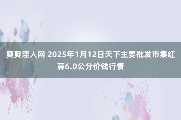 爽爽淫人网 2025年1月12日天下主要批发市集红蒜6.0公分价钱行情