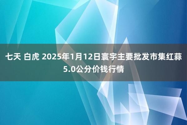 七天 白虎 2025年1月12日寰宇主要批发市集红蒜5.0公分价钱行情