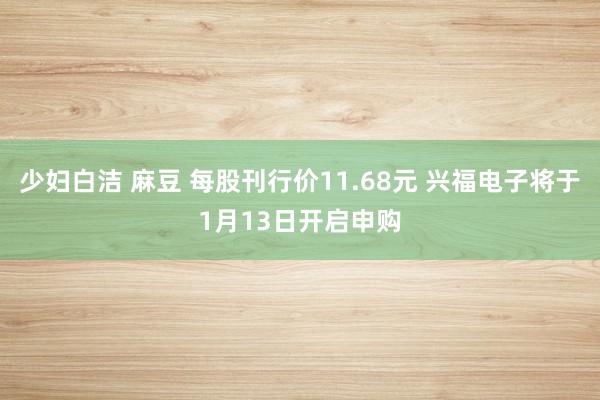 少妇白洁 麻豆 每股刊行价11.68元 兴福电子将于1月13日开启申购