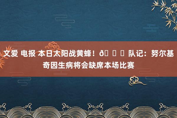 文爱 电报 本日太阳战黄蜂！👀队记：努尔基奇因生病将会缺席本场比赛