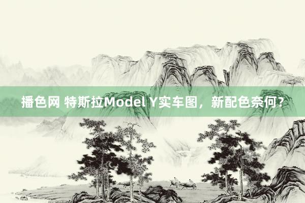 播色网 特斯拉Model Y实车图，新配色奈何？